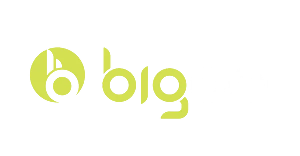 bigboi – Trockner und Blower für Fahrzeugpflege